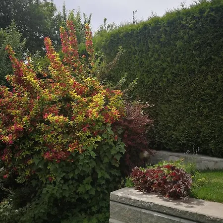 Apartment Bankya * Bankea