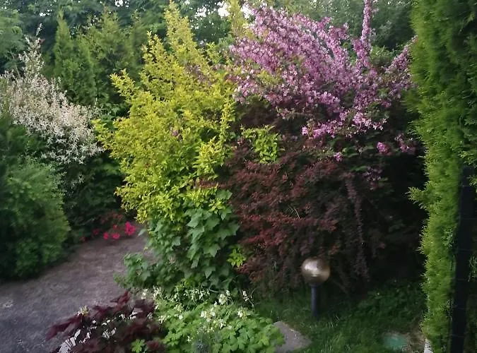 Apartment Bankya Банкя