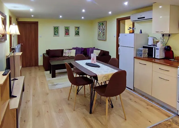 Apartment Bankya Апартамент Банкя